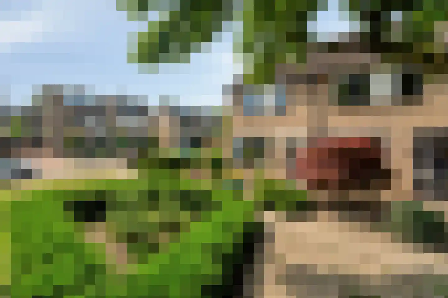 Hegenbos 43 Wezep thumbnail 6