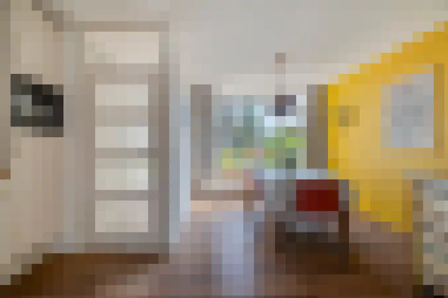 Hegenbos 43 Wezep thumbnail 8
