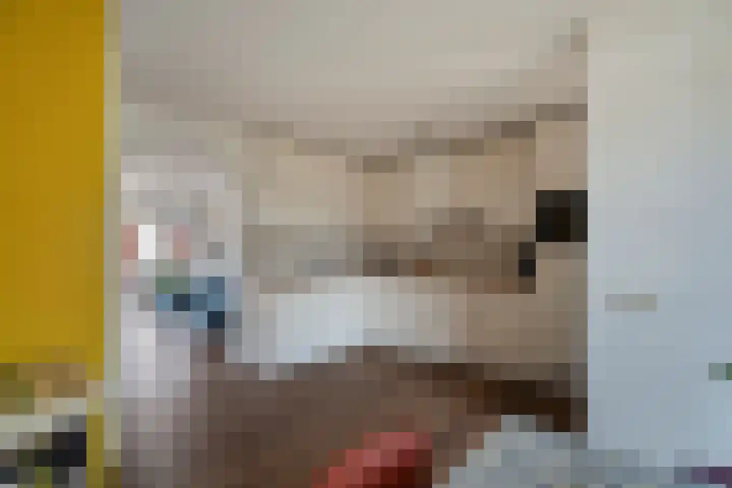 Hegenbos 43 Wezep thumbnail 9