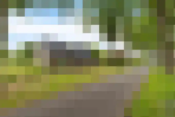 Hegenzand 13 Noord-Sleen thumbnail 10