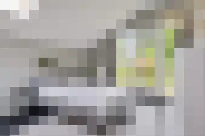 Hegenzand 13 Noord-Sleen thumbnail 15
