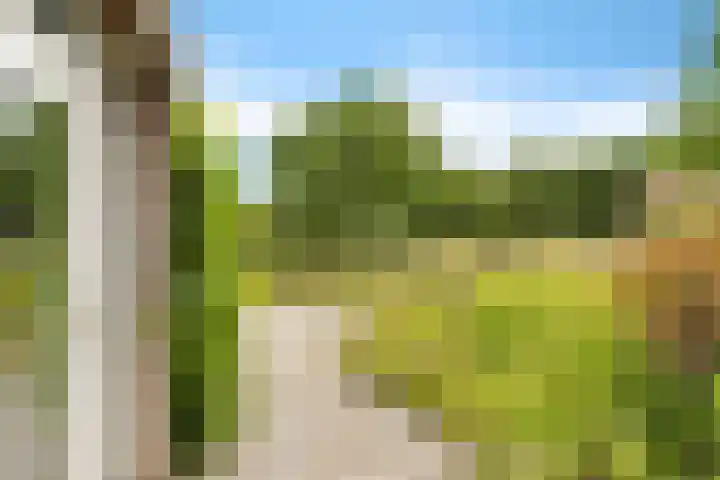 Hegenzand 13 Noord-Sleen thumbnail 16