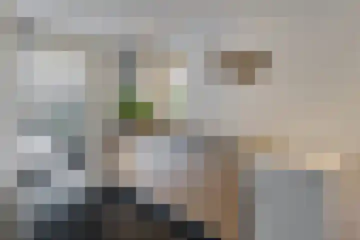 Hegenzand 13 Noord-Sleen thumbnail 17