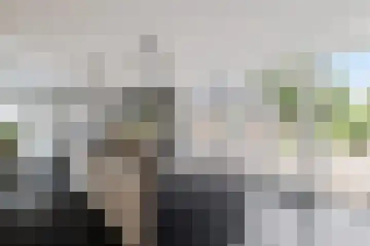 Hegenzand 13 Noord-Sleen thumbnail 22