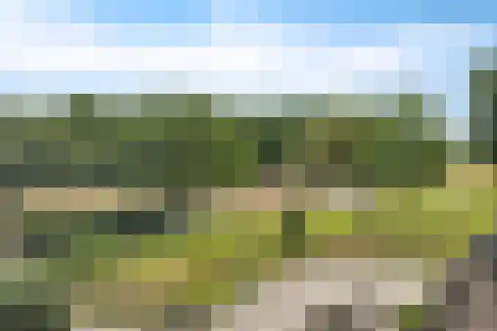 Hegenzand 13 Noord-Sleen thumbnail 39