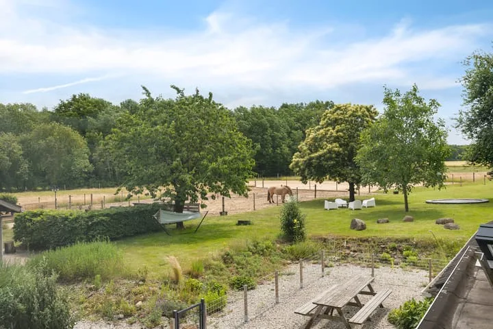 Hegenzand 13 Noord-Sleen thumbnail 39