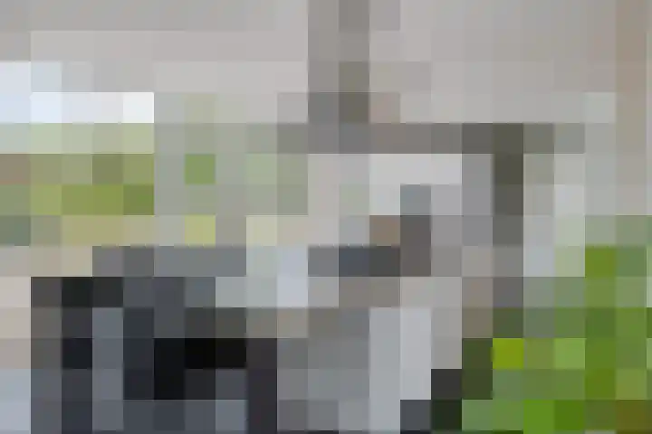 Hegenzand 13 Noord-Sleen thumbnail 4