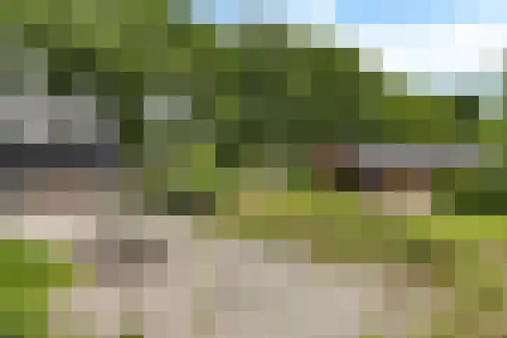 Hegenzand 13 Noord-Sleen thumbnail 42
