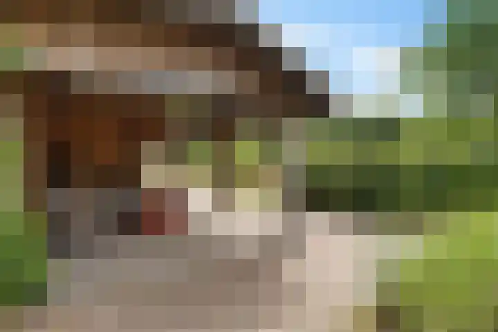 Hegenzand 13 Noord-Sleen thumbnail 43