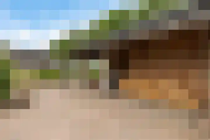 Hegenzand 13 Noord-Sleen thumbnail 45