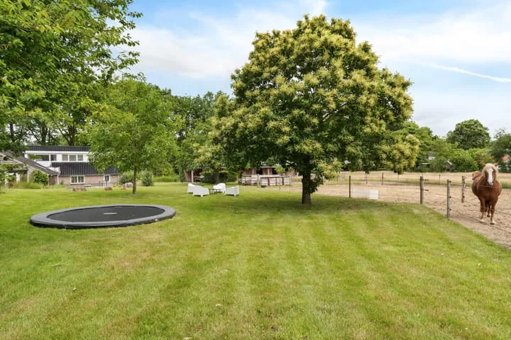 Hegenzand 13 Noord-Sleen thumbnail 50