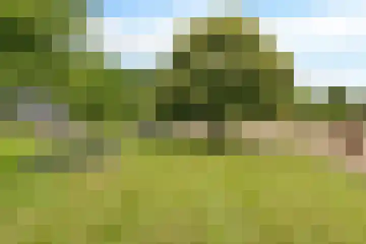 Hegenzand 13 Noord-Sleen thumbnail 50