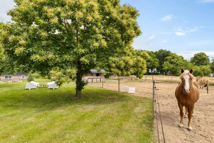 Hegenzand 13 Noord-Sleen thumbnail 51