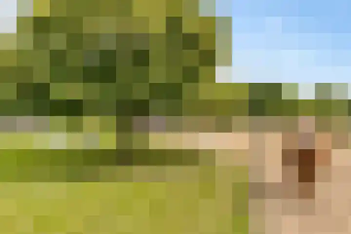 Hegenzand 13 Noord-Sleen thumbnail 51