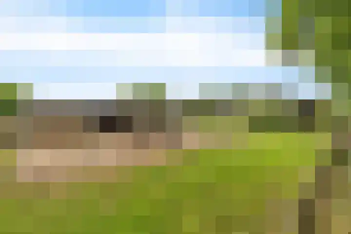 Hegenzand 13 Noord-Sleen thumbnail 52