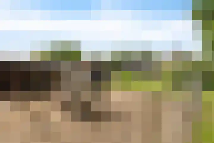 Hegenzand 13 Noord-Sleen thumbnail 53