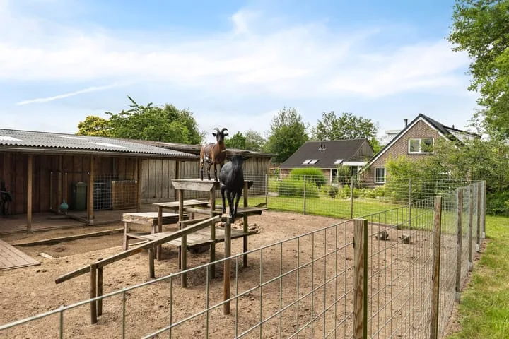 Hegenzand 13 Noord-Sleen thumbnail 53