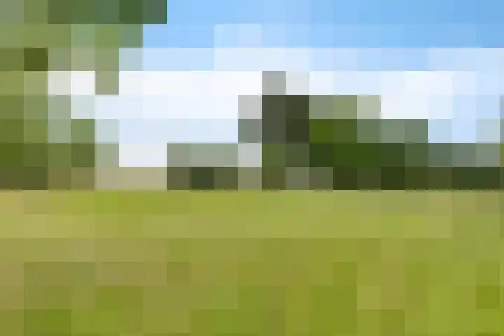 Hegenzand 13 Noord-Sleen thumbnail 54