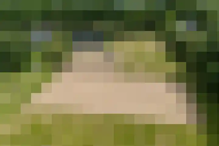 Hegenzand 13 Noord-Sleen thumbnail 55