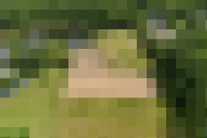 Hegenzand 13 Noord-Sleen thumbnail 56