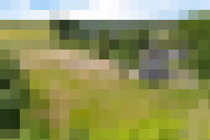Hegenzand 13 Noord-Sleen thumbnail 57