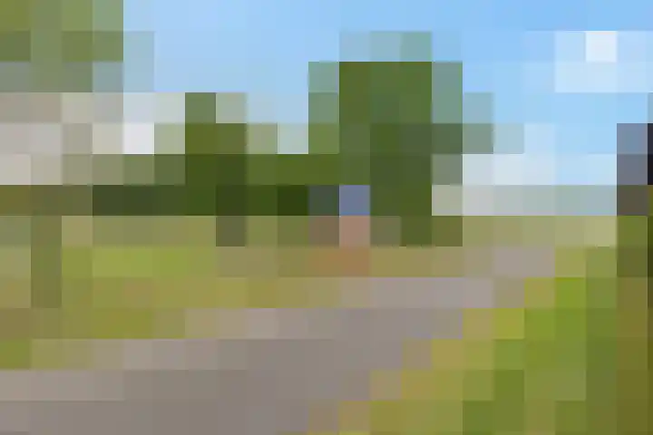 Hegenzand 13 Noord-Sleen thumbnail 58