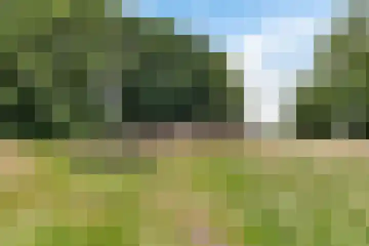 Hegenzand 13 Noord-Sleen thumbnail 59