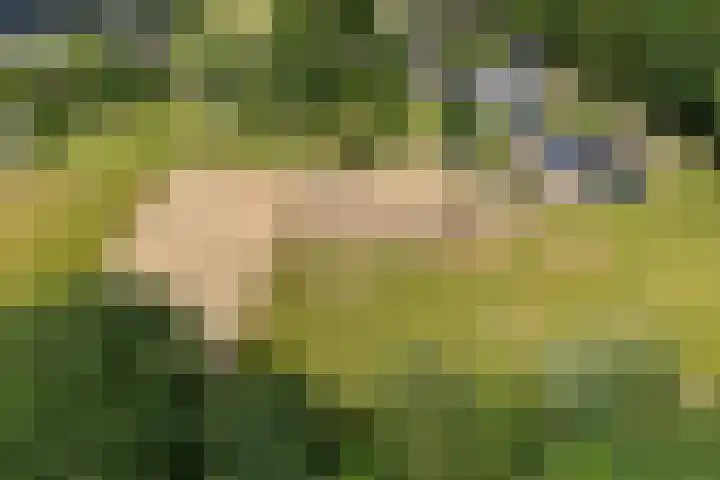 Hegenzand 13 Noord-Sleen thumbnail 65