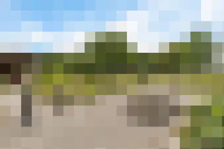 Hegenzand 13 Noord-Sleen thumbnail 7