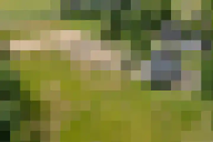 Hegenzand 13 Noord-Sleen thumbnail 9