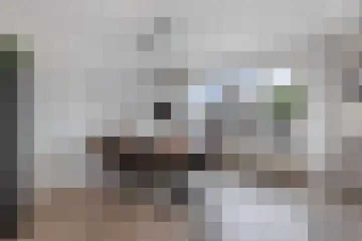 Hegeterp 31 Winsum thumbnail 18