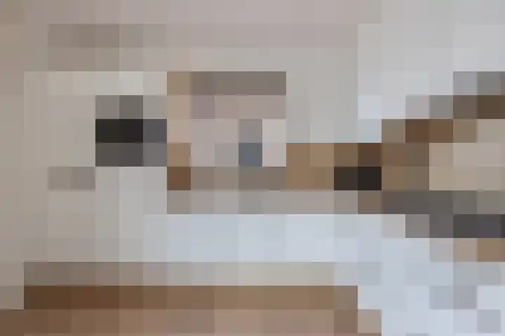 Hegeterp 31 Winsum thumbnail 20