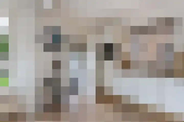 Hegeterp 31 Winsum thumbnail 21