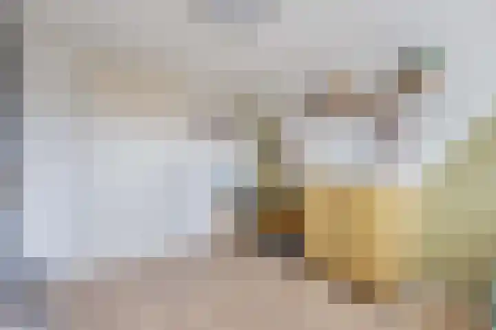 Hegeterp 31 Winsum thumbnail 25