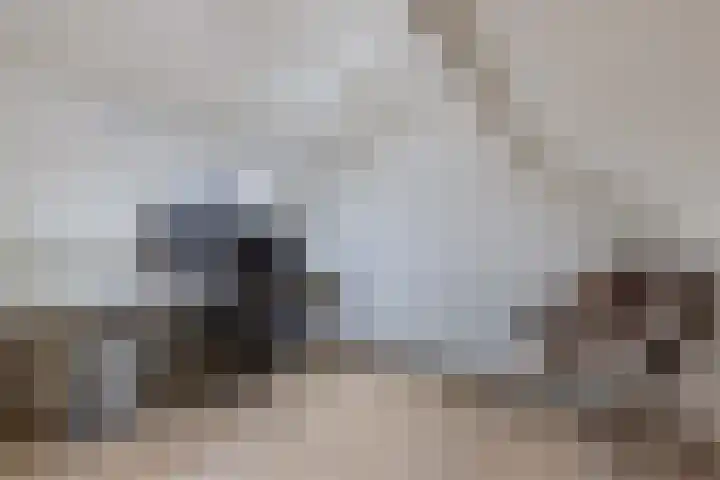 Hegeterp 31 Winsum thumbnail 34