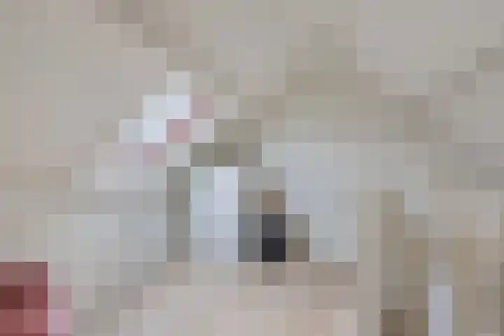 Hegeterp 31 Winsum thumbnail 35