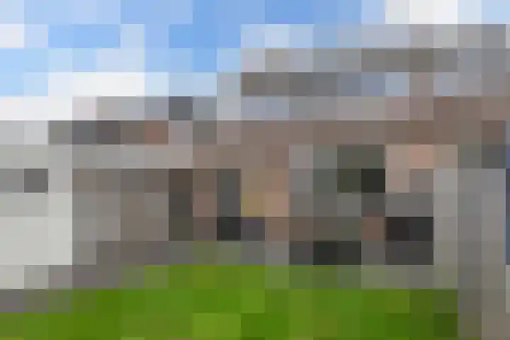 Hegeterp 31 Winsum thumbnail 37
