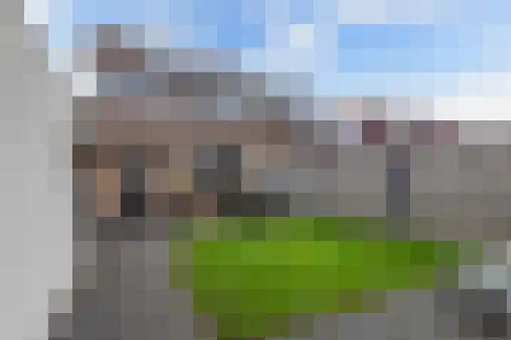 Hegeterp 31 Winsum thumbnail 38
