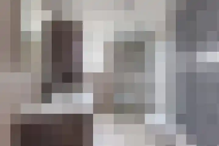 Hegeterp 31 Winsum thumbnail 6