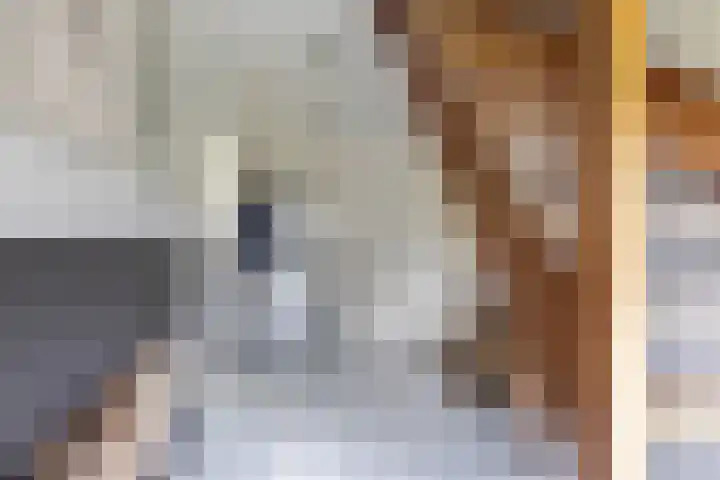 Hegewei 11 Nijega thumbnail 10