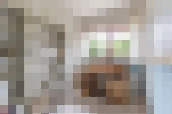 Hegewei 11 Nijega thumbnail 12