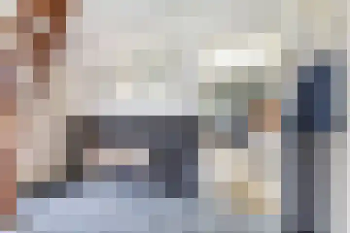 Hegewei 11 Nijega thumbnail 13