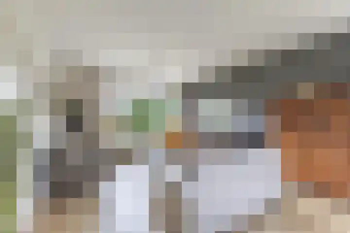 Hegewei 11 Nijega thumbnail 14