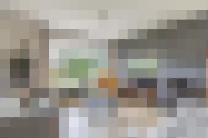 Hegewei 11 Nijega thumbnail 15