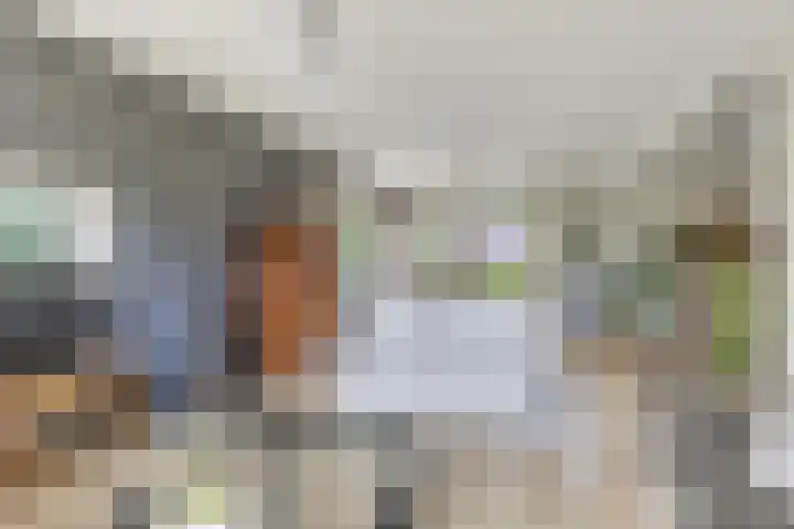 Hegewei 11 Nijega thumbnail 16