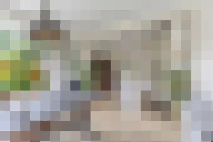 Hegewei 11 Nijega thumbnail 17