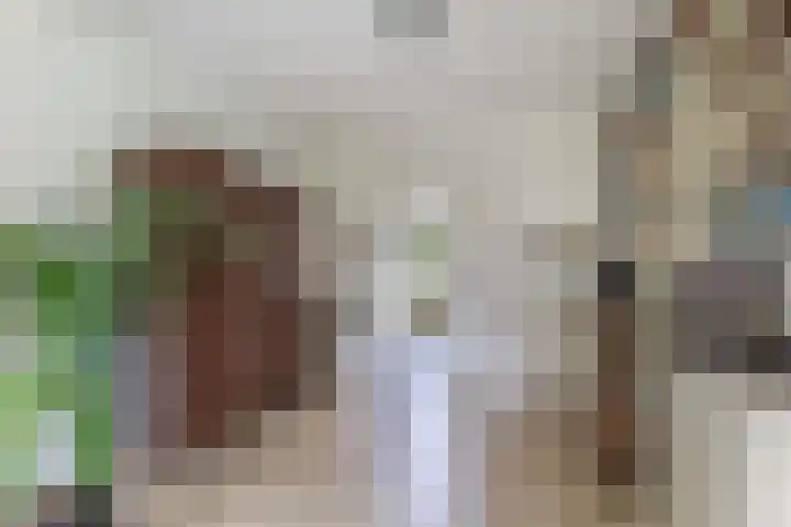 Hegewei 11 Nijega thumbnail 18