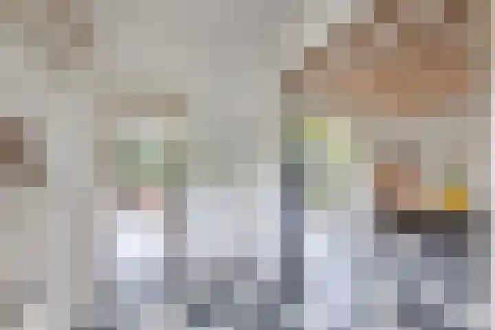 Hegewei 11 Nijega thumbnail 19