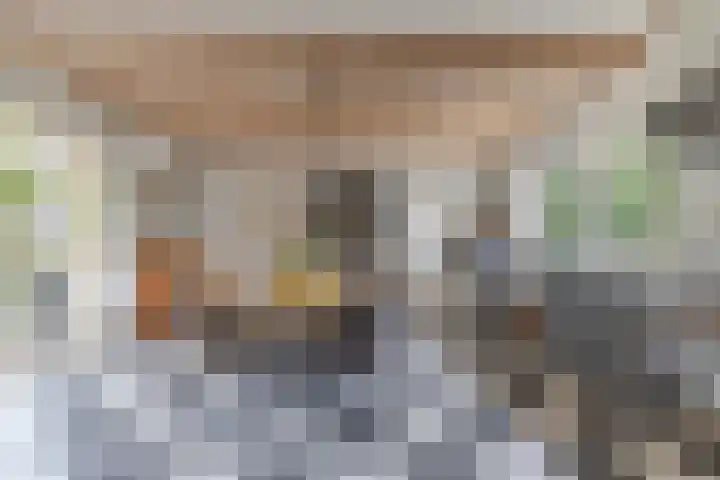 Hegewei 11 Nijega thumbnail 20