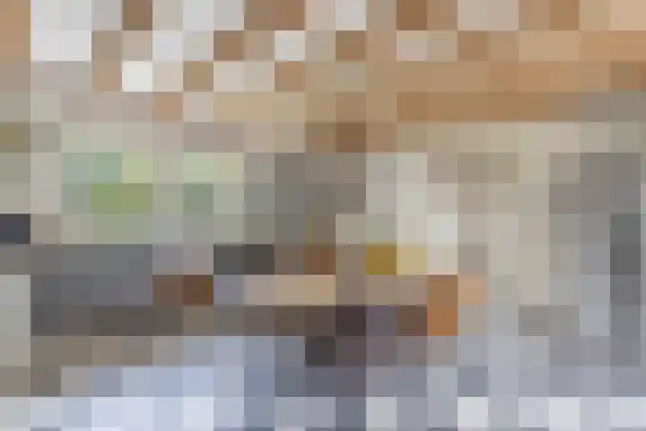 Hegewei 11 Nijega thumbnail 21